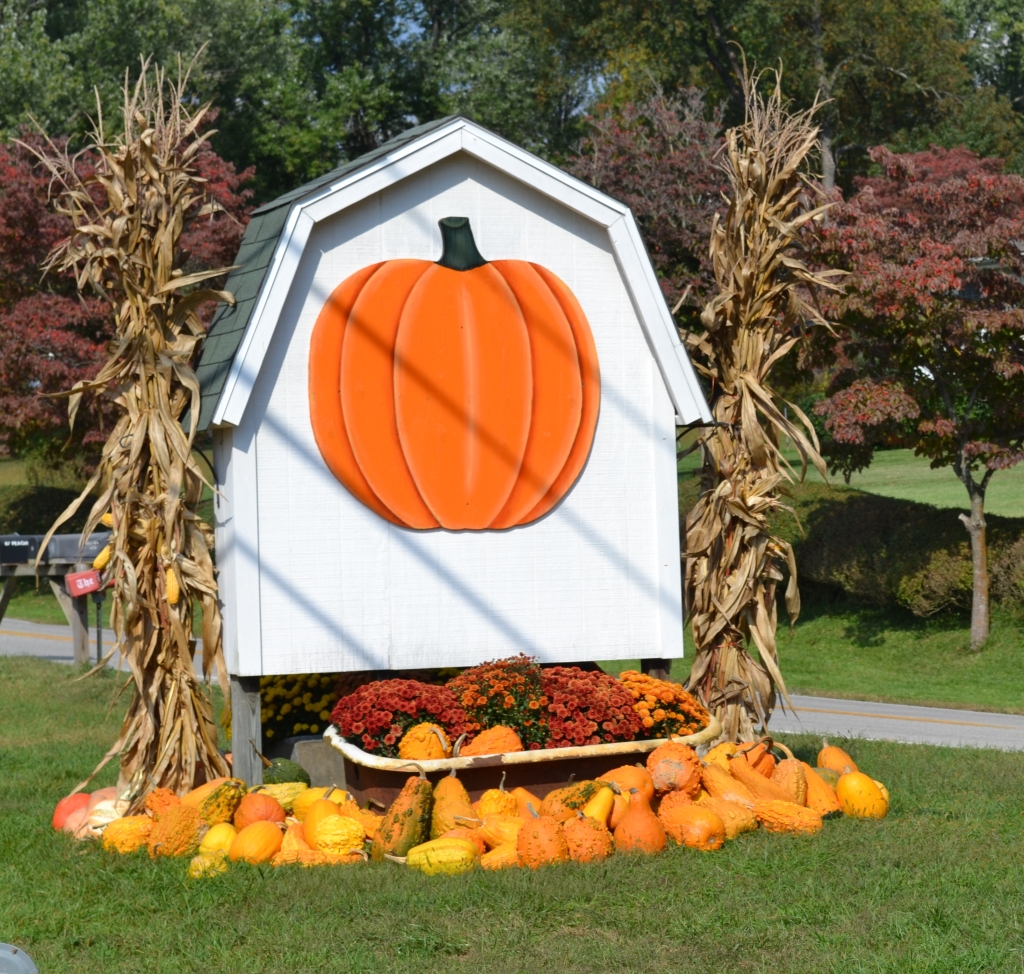 AS THE SEASONS CHANGE.........FALL FUN and the activities our family gets involved in.