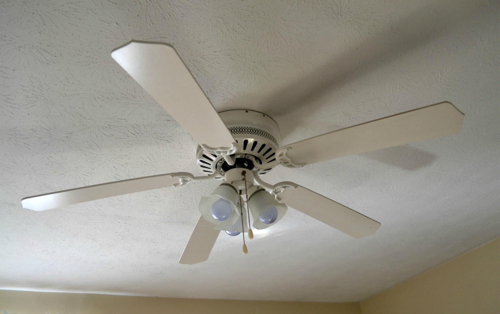 office remodel, spring project, ceiling fan