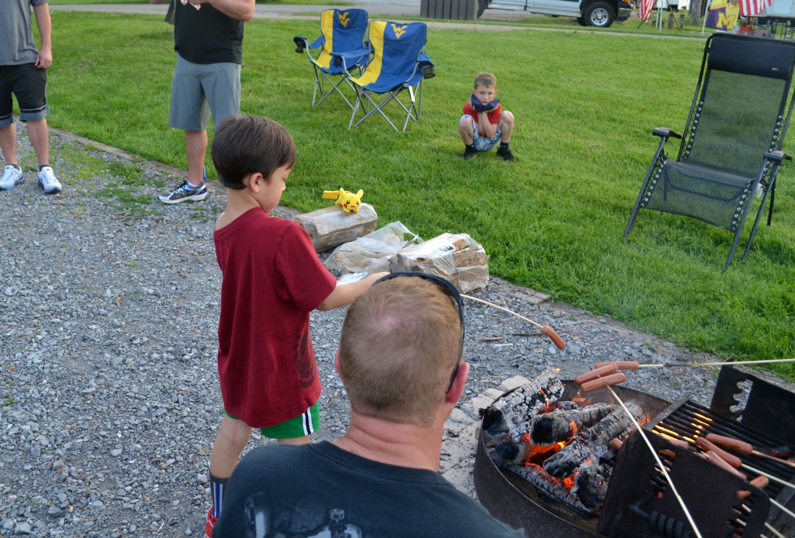 national hot dog day, hot dog sauce, wiener roast