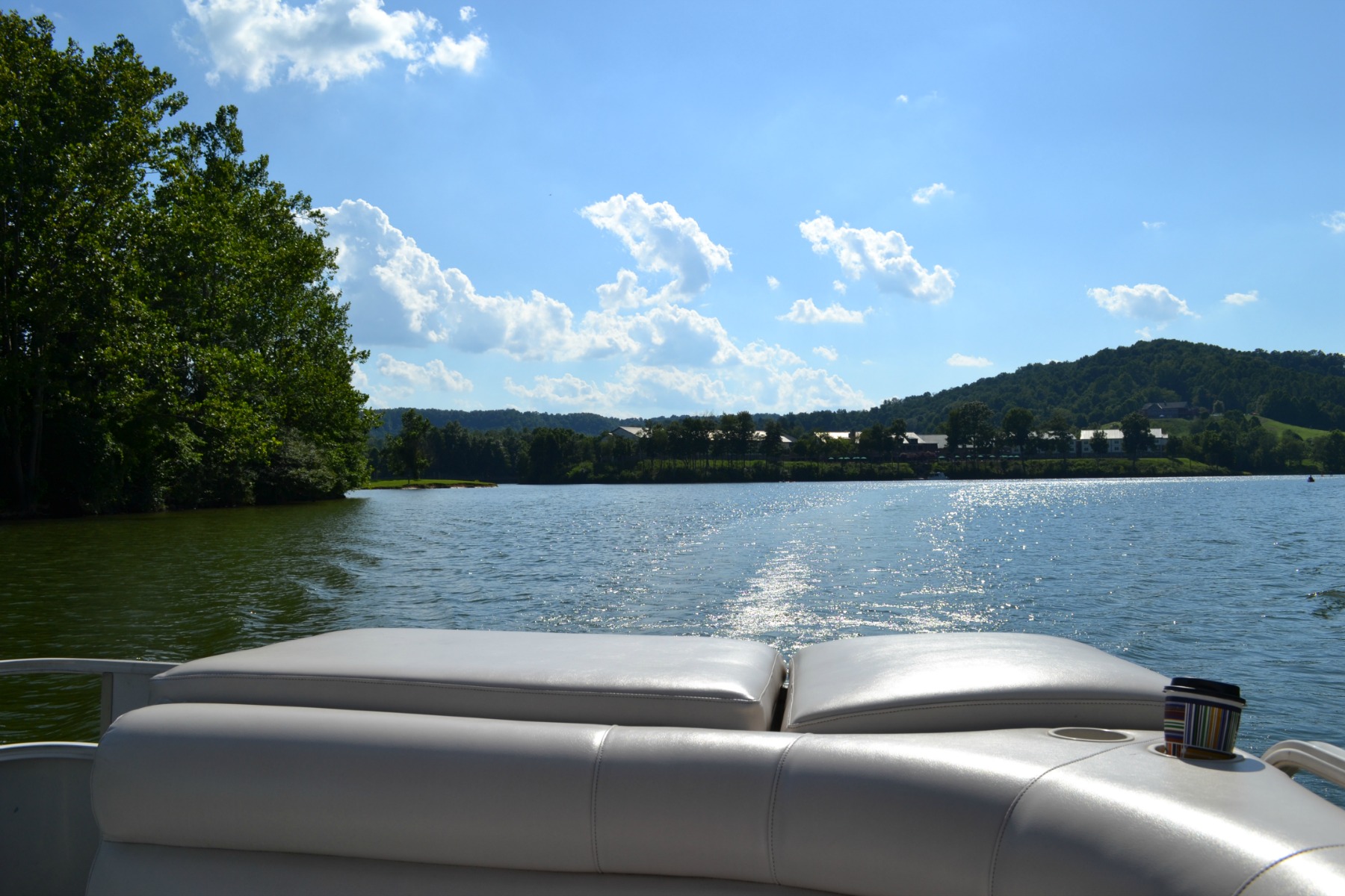 pontoon, stonewall lake