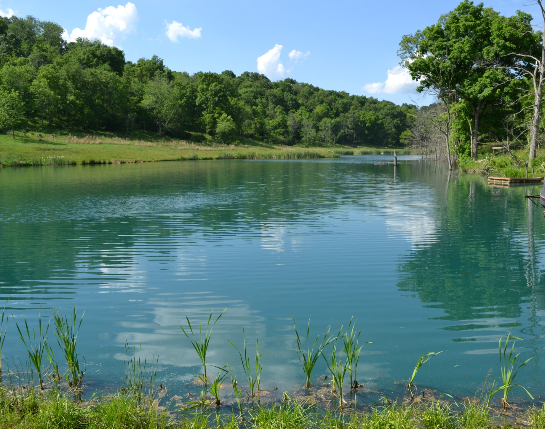 foggin lake, summer visits