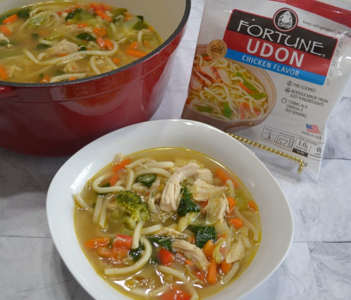 chicken udon soup