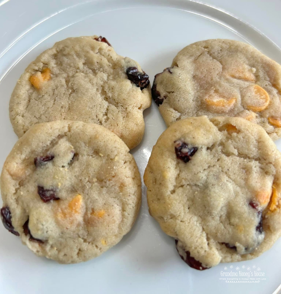 2 1/4 cups all purpose flour 1 tsp baking soda 1 tsp kosher salt 1 cup butter softened 3/4 cup sugar 3/4 cup packed brown sugar 2 tsp vanilla extract 2 large eggs 1 (9oz) bag pumpkin spice morsels 1 cup dried cranberries.